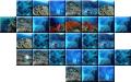 Minimap Korallenriff.jpg